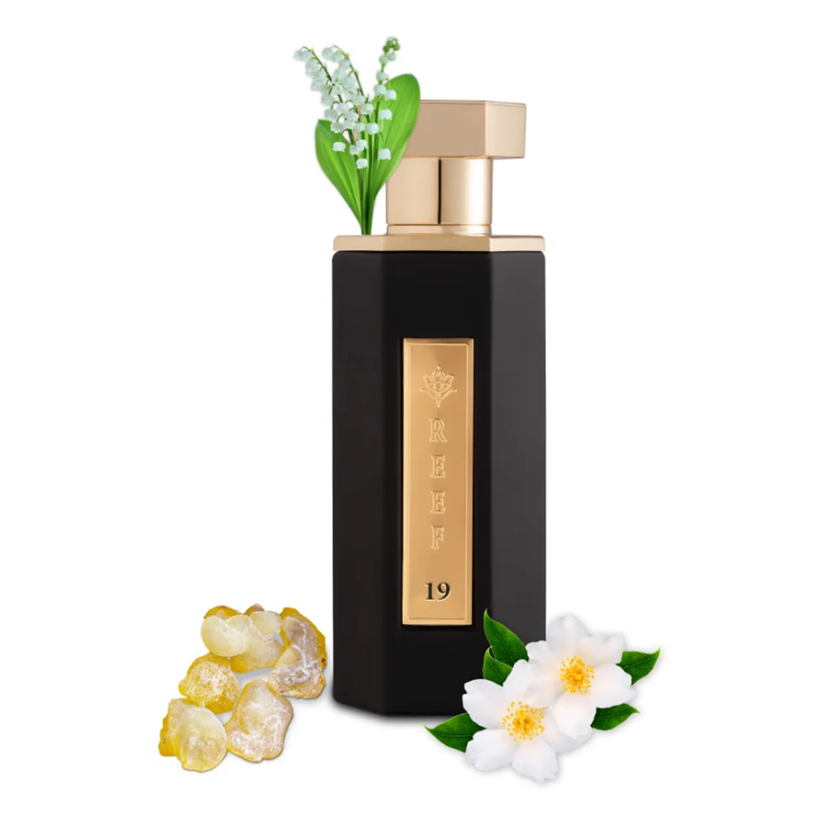 Reef REEF 19 100ML 